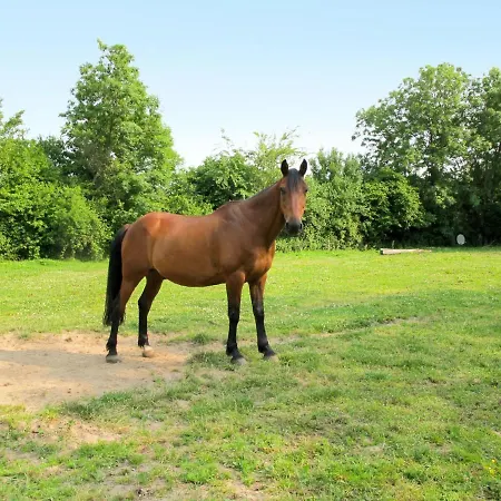 Feriehus La Bedelle By Interhome Pouppeville