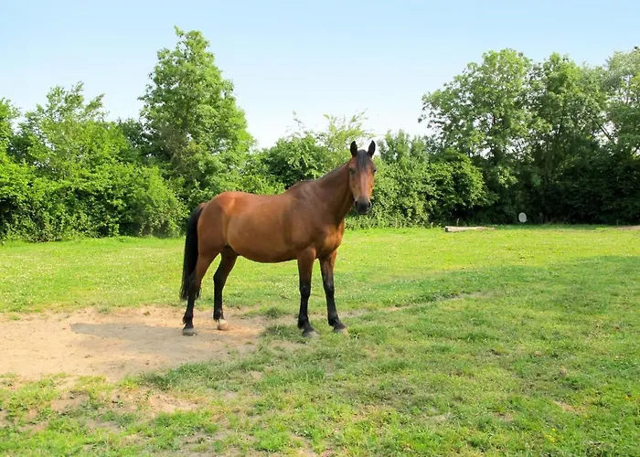 Casa vacanze La Bedelle By Interhome Pouppeville